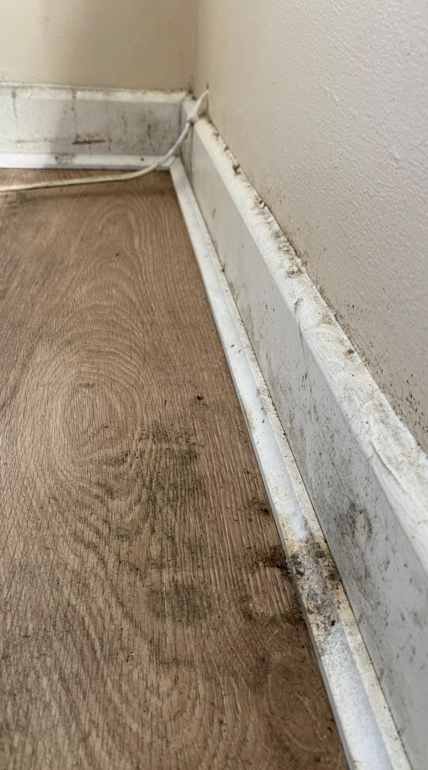 Before - Mould in Tragumna home