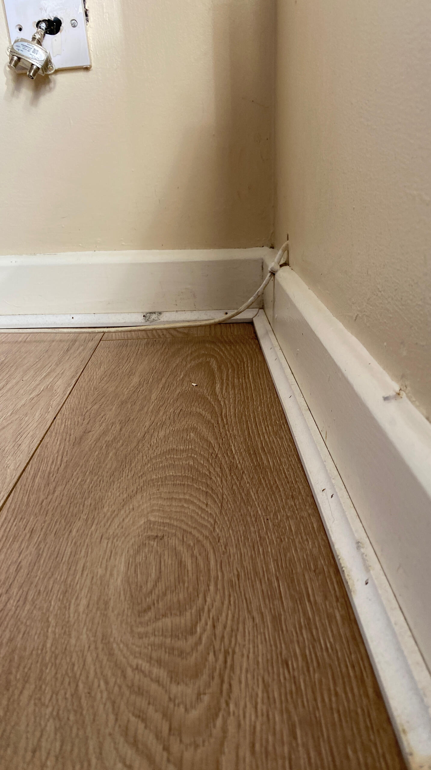 After - Mould removal in Tragumna home