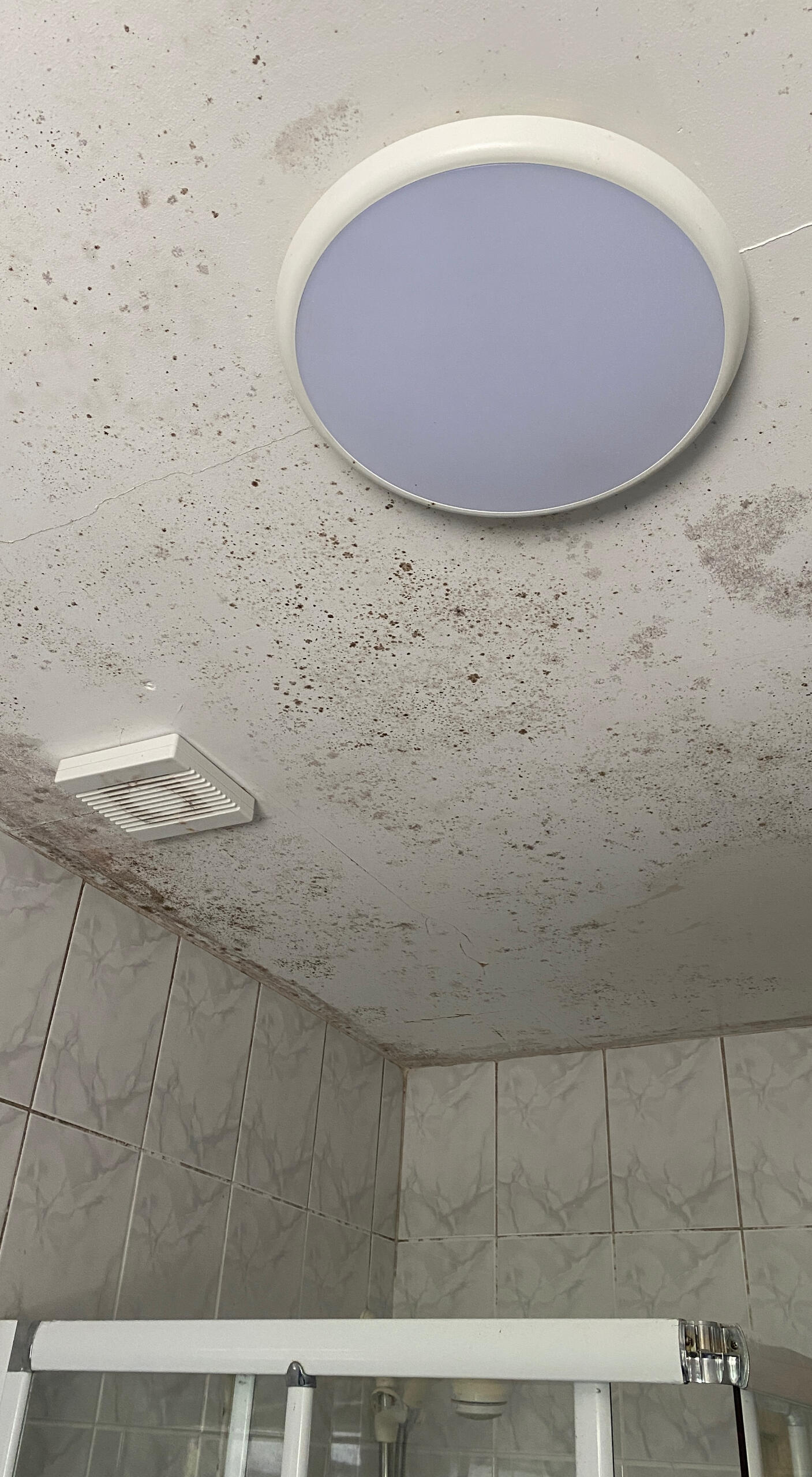 Before - Mould in Drinagh home