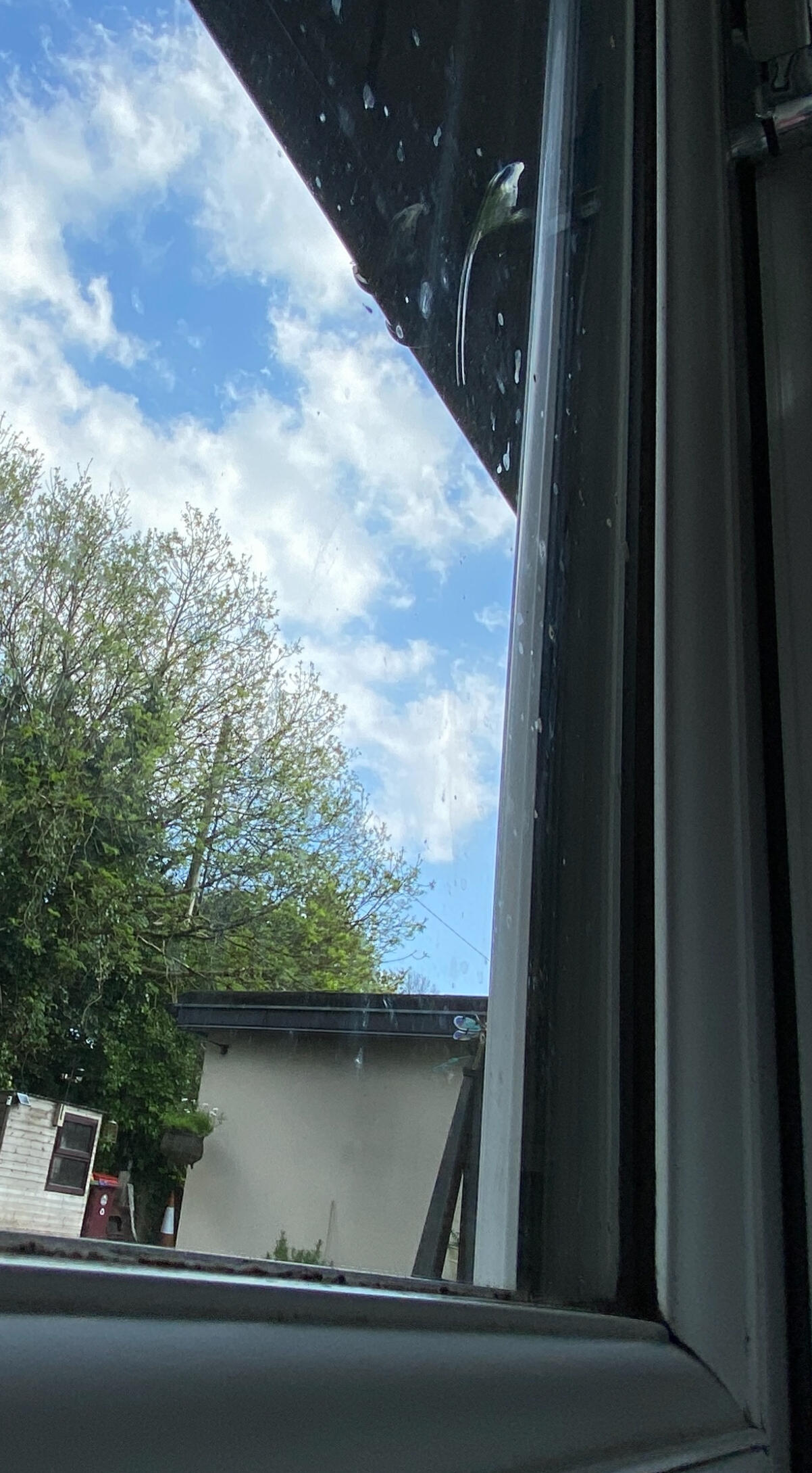 Smudges in Coolnagarrane, Skibb