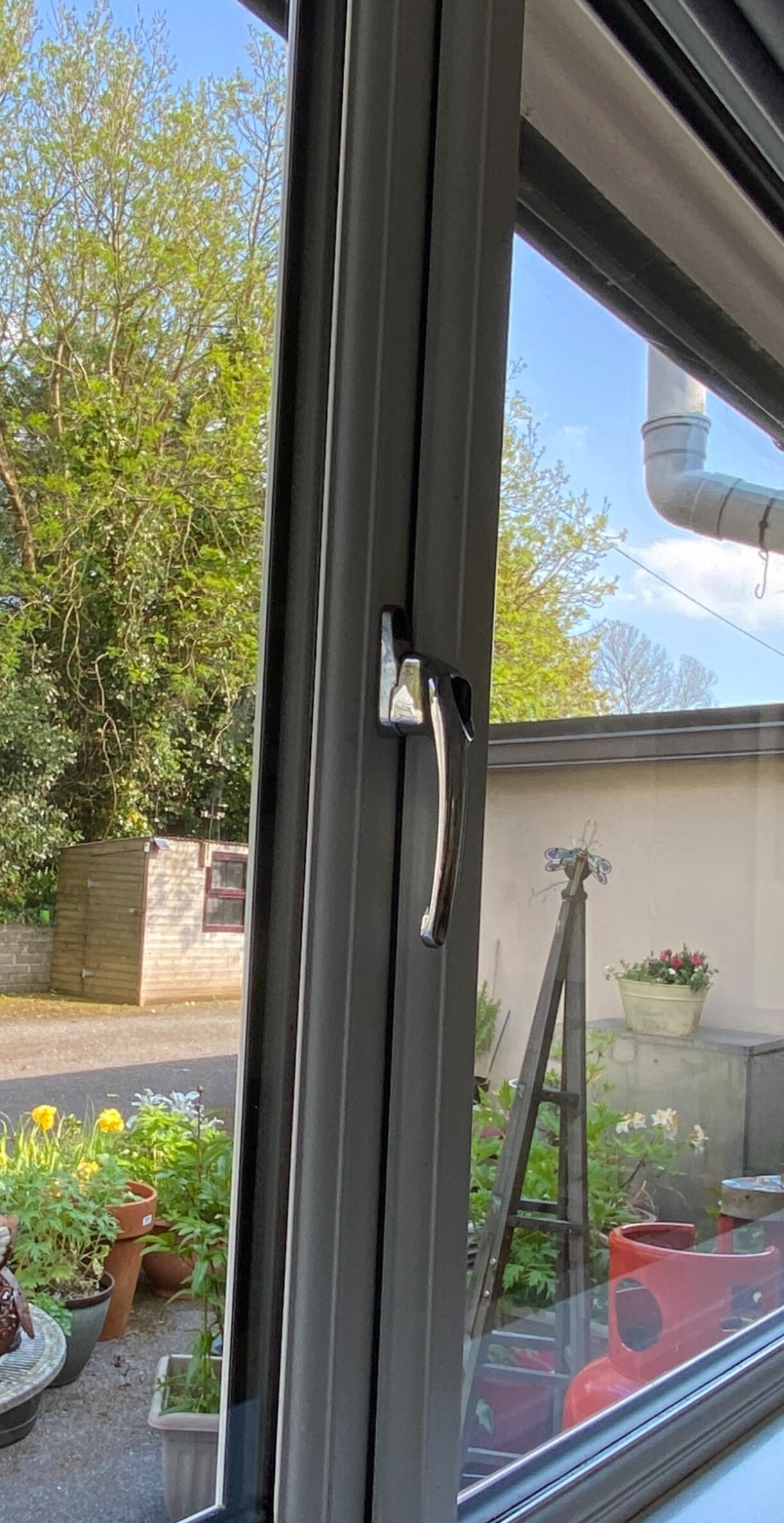 Sparkling in Coolnagarrane, Skibb